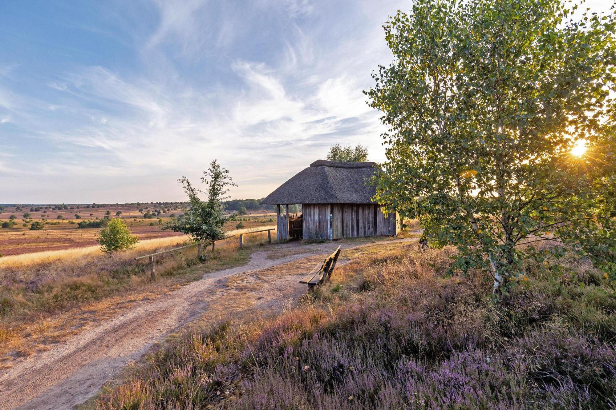Вилла Heidehof Oberhaverbeck Биспинген Экстерьер фото